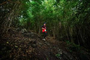 BIB: 
                            <button type="button" onclick="openModal(25099978)" class="btn btn-primary btn-sm float-right btn-popup" data-toggle="modal" data-target=".modal-high-quality">
                        <i class="fas fa-shopping-cart"></i> Add to Cart
                    </button>
                                            <button type="button" onclick="isThisMe(25099978, true)" class="btn btn-success btn-sm float-right btn-popup btn-isme hidden" data-toggle="tooltip" data-placement="bottom" title="นี่คือรูปของคุณใช่ไหม คลิกที่นี่เพื่อเอาเข้าอัลบั้ม">
                        <i class="fas fa-plus"></i> Add to album
                    </button>
                    <button type="button" onclick="isThisMe(25099978, false)" class="btn btn-warning btn-sm float-right btn-popup btn-isnotme hidden">
                        <i class="fas fa-ban"></i> Remove from album
                    </button>